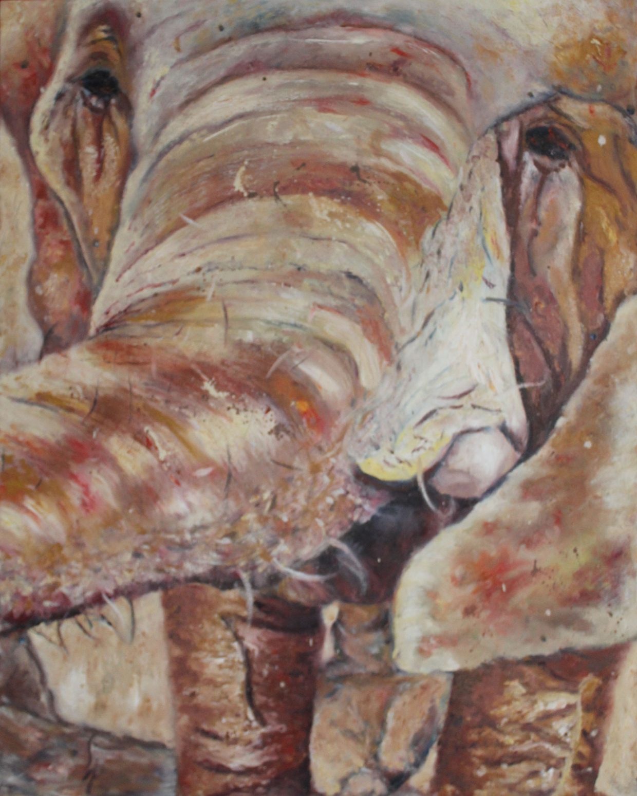 Helen Bugler | Oil | Elephant Trunk