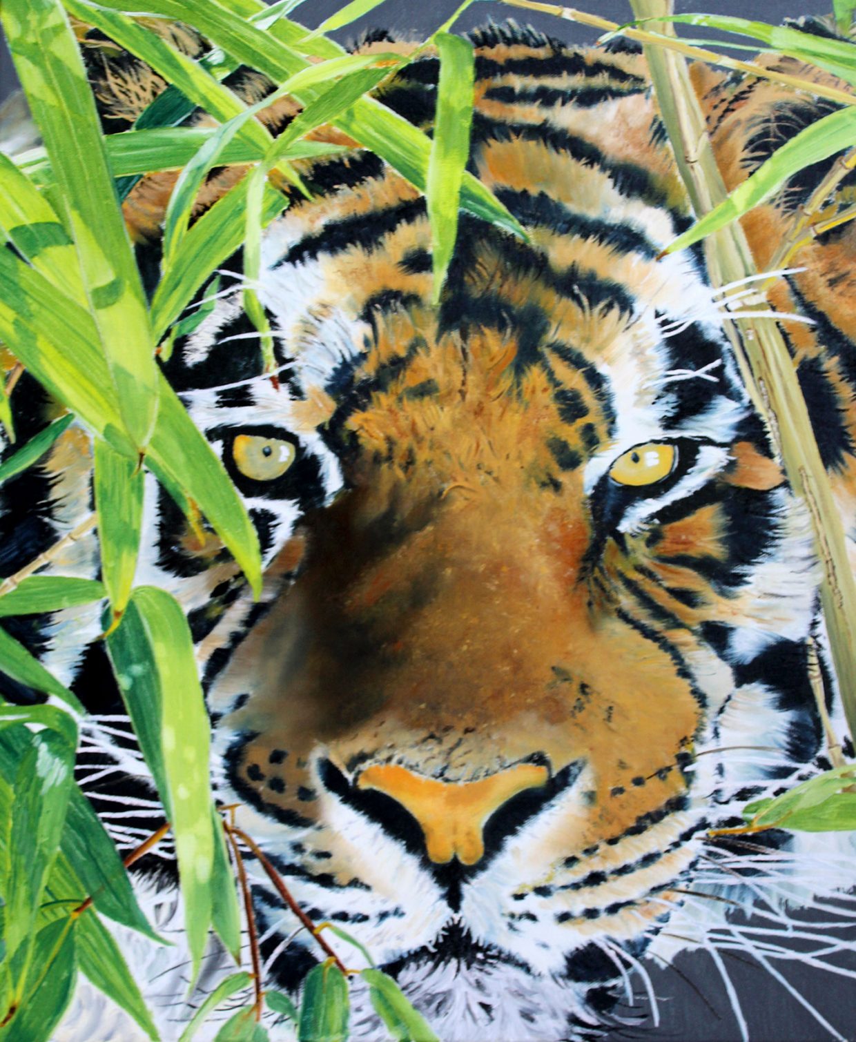 Helen Bugler | Oil | Tiger