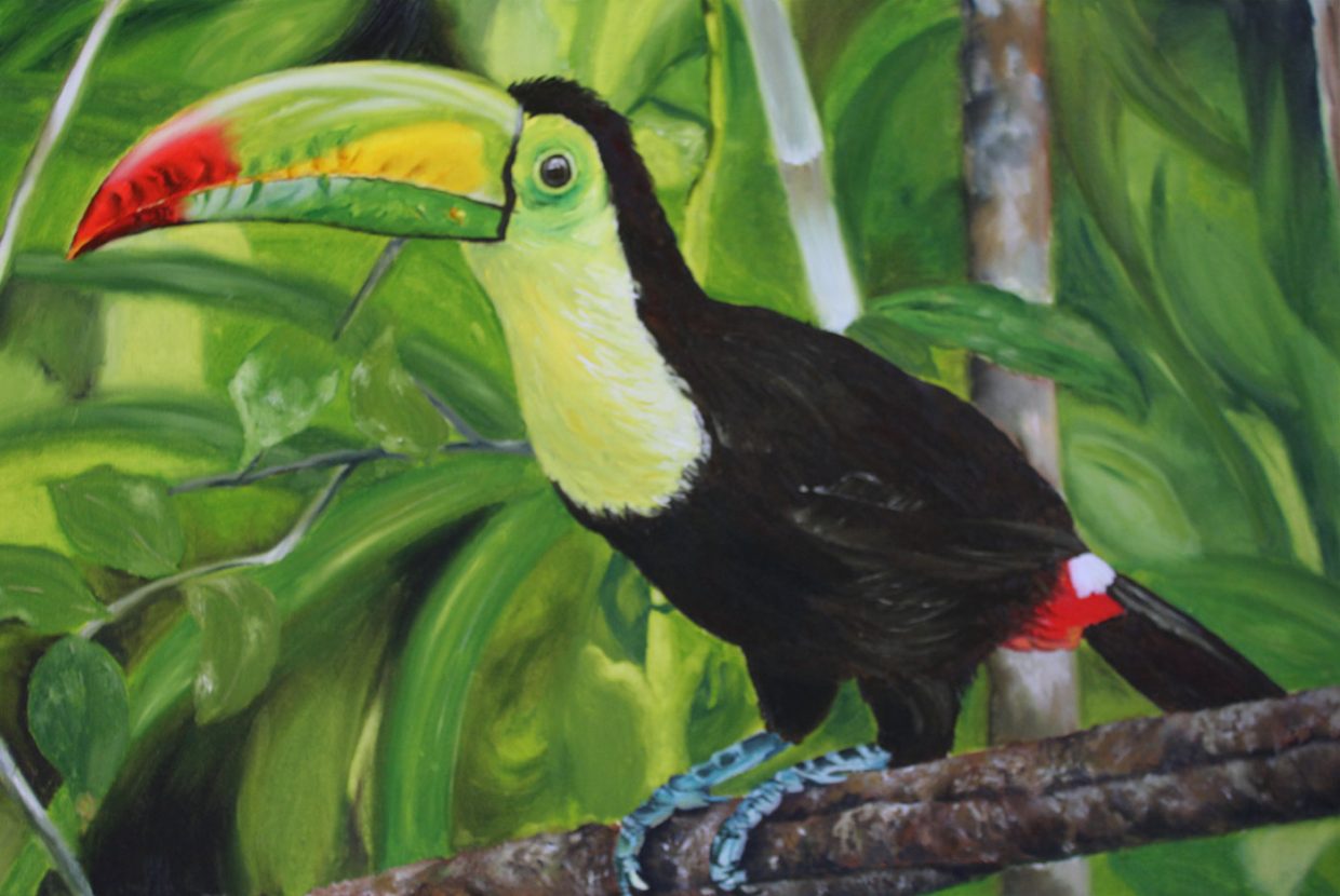 Helen Bugler | Oil | Toucan